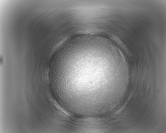 X0000056030585200509170039