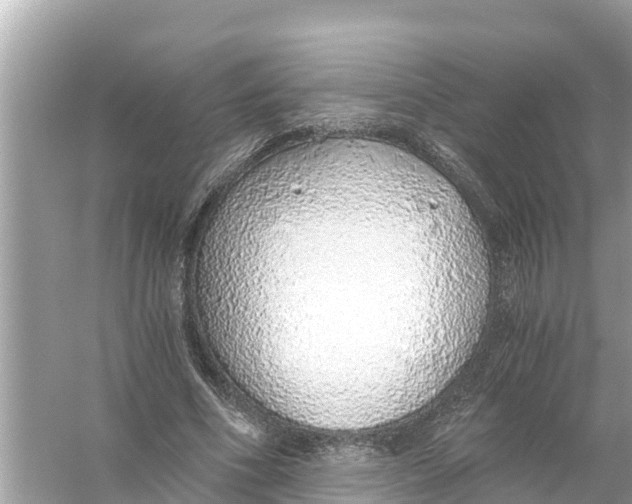 X0000056030586200509170039