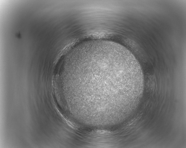 X0000056030590200509170038