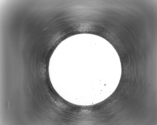 X0000056030592200509170038