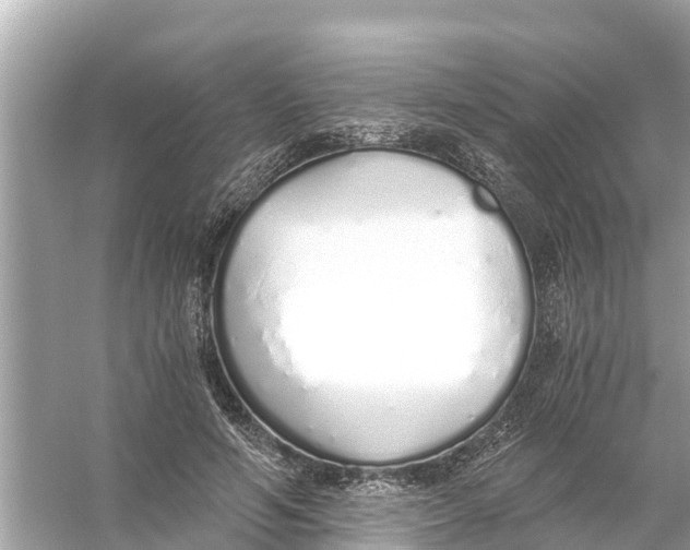 X0000056030594200509170038