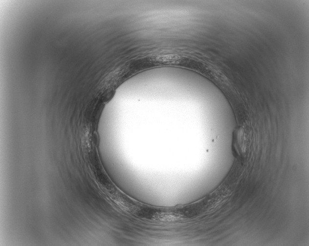 X0000056030597200509170038