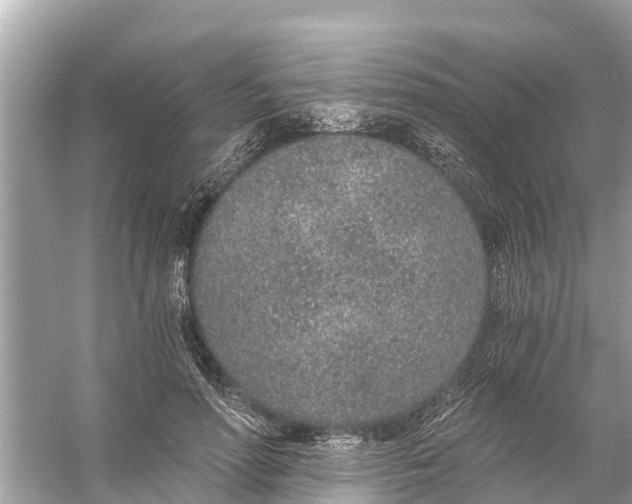 X0000056030598200509170038