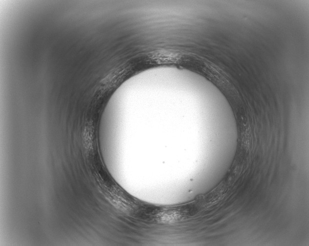 X0000056030604200509170038