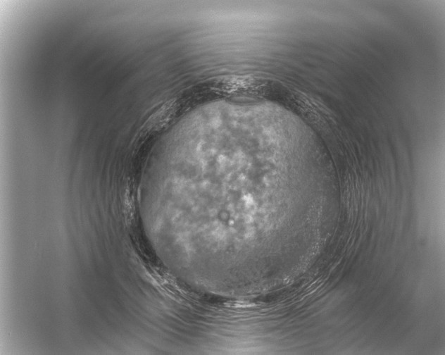 X0000056030607200509170038