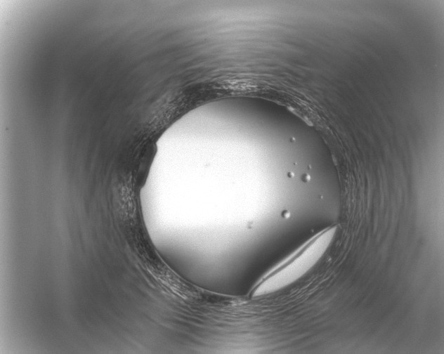 X0000056030609200509170038