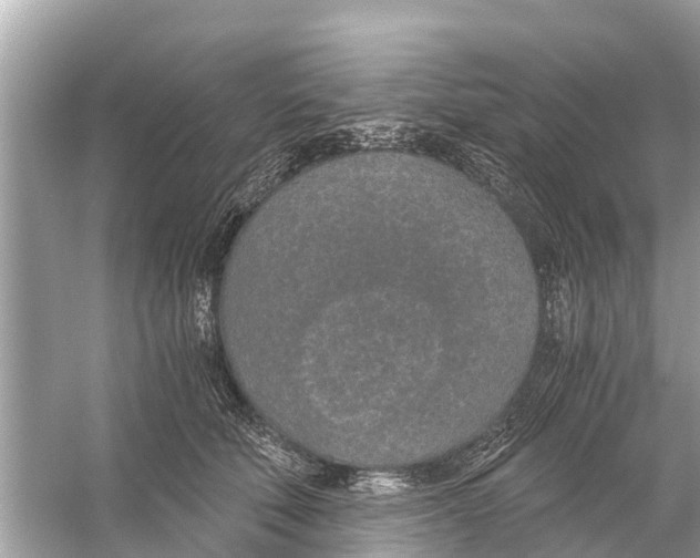 X0000056030610200509170038