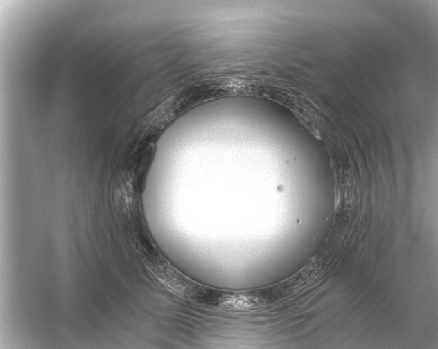 X0000056030611200509170038