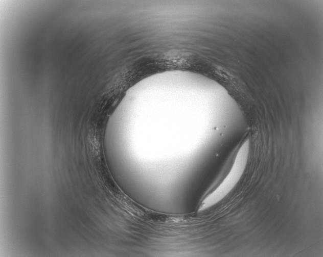 X0000056030613200509170038