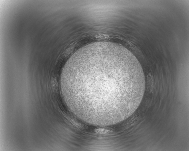 X0000056030614200509170038