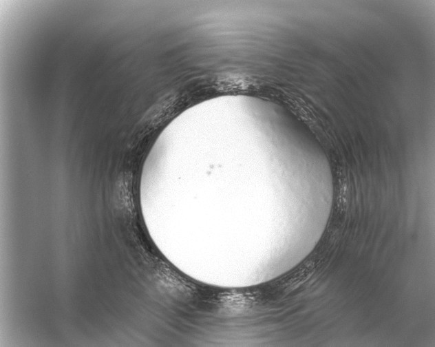 X0000056030616200509170038