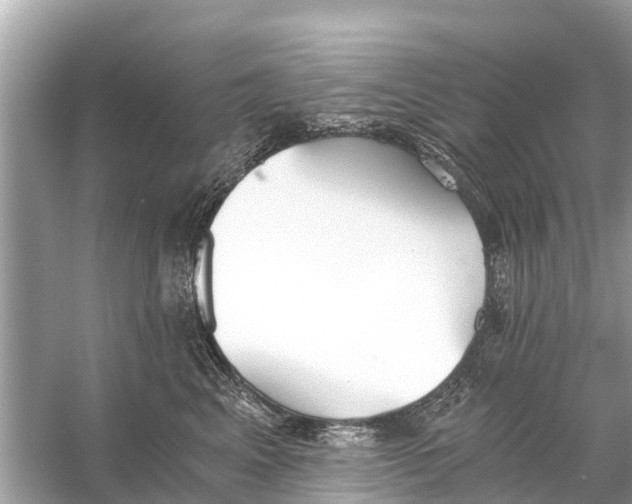 X0000056030617200509170038