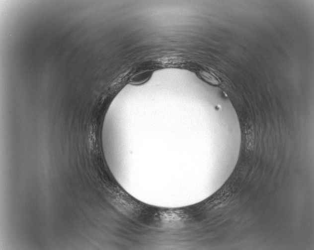 X0000056030618200509170038