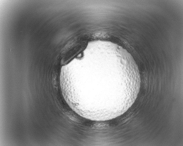 X0000056030619200509170038