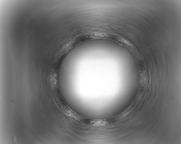 X0000056030621200509170038