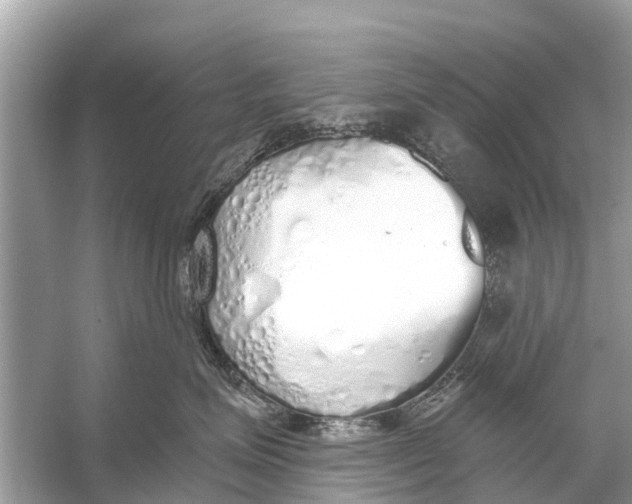 X0000056030623200509170038