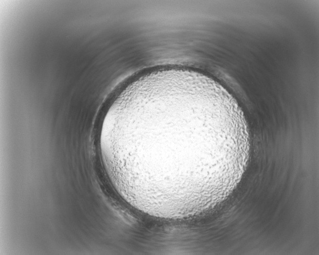 X0000056030628200509170037