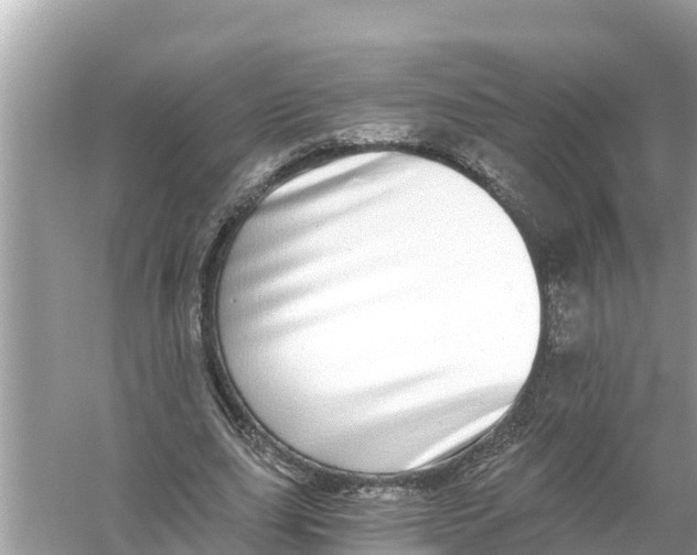 X0000056030631200509170037