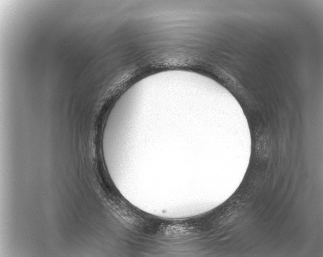 X0000056030635200509170037