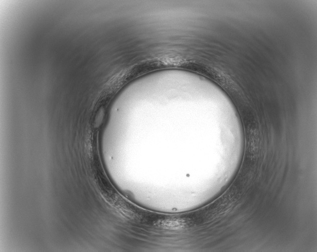 X0000056030639200509170037