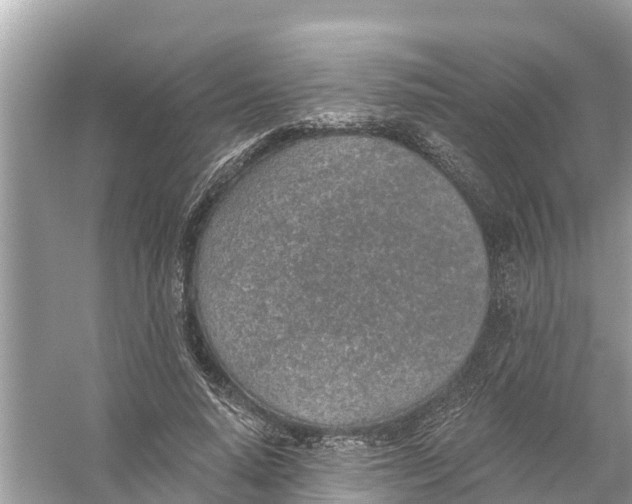 X0000056030640200509170037