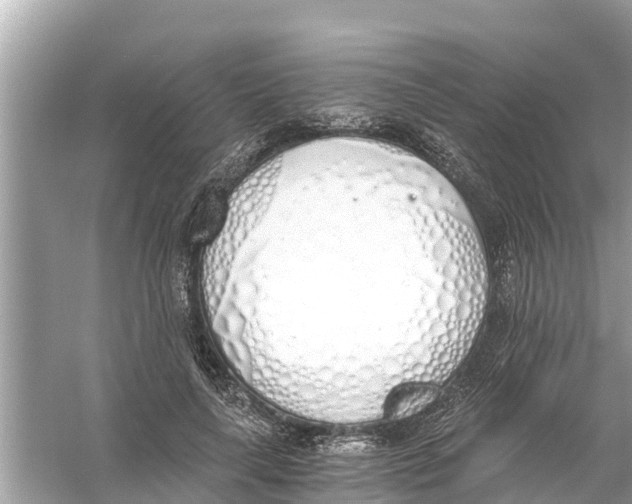 X0000056030643200509170037