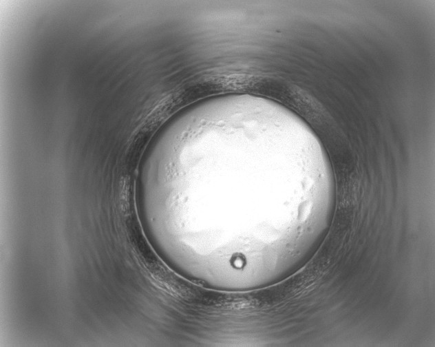 X0000056030646200509170037