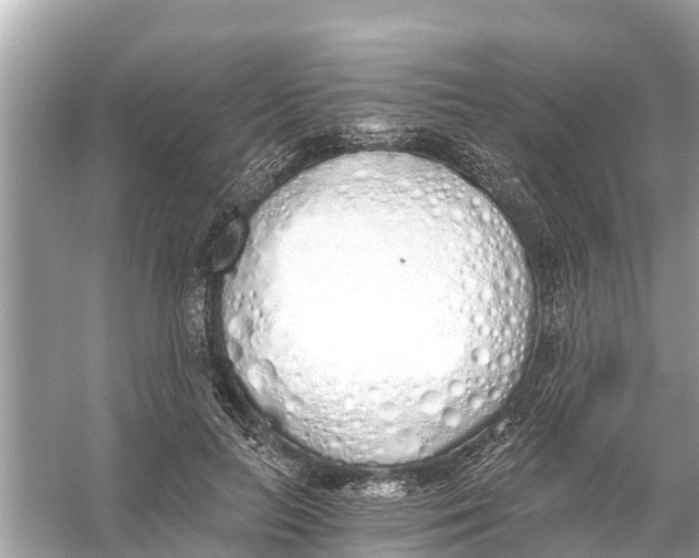 X0000056030647200509170037