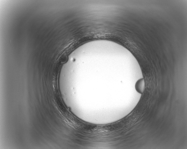 X0000056030648200509170037