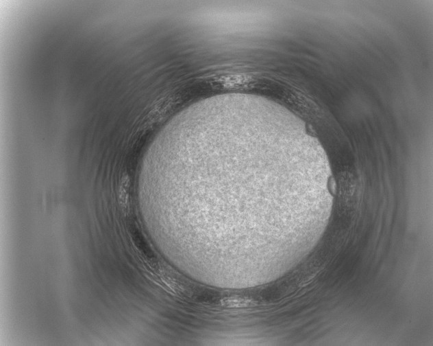 X0000056030650200509170038