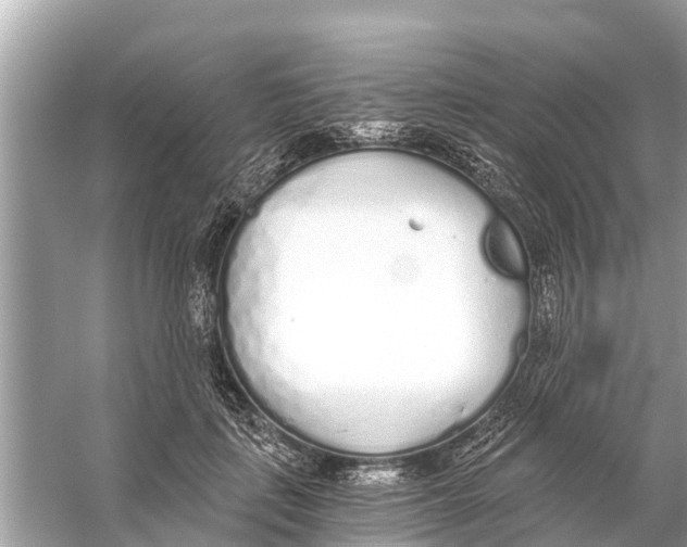 X0000056030651200509170038