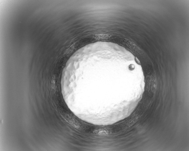 X0000056030655200509170038