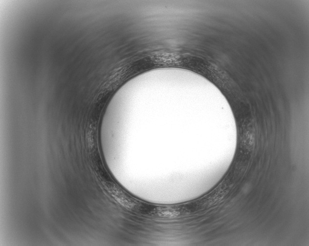 X0000056030658200509170038