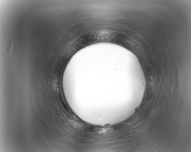 X0000056030663200509170038