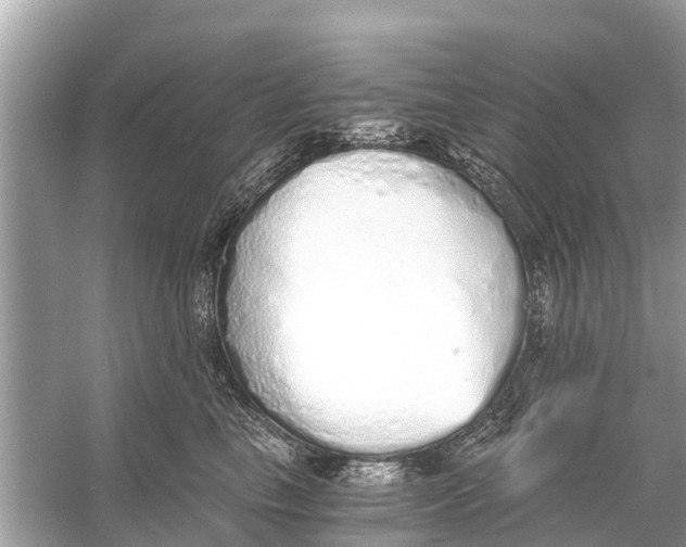 X0000056030665200509170038