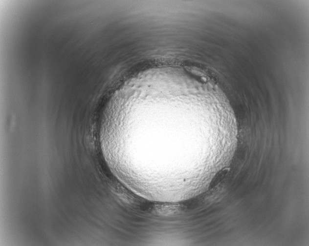 X0000056030671200509170038