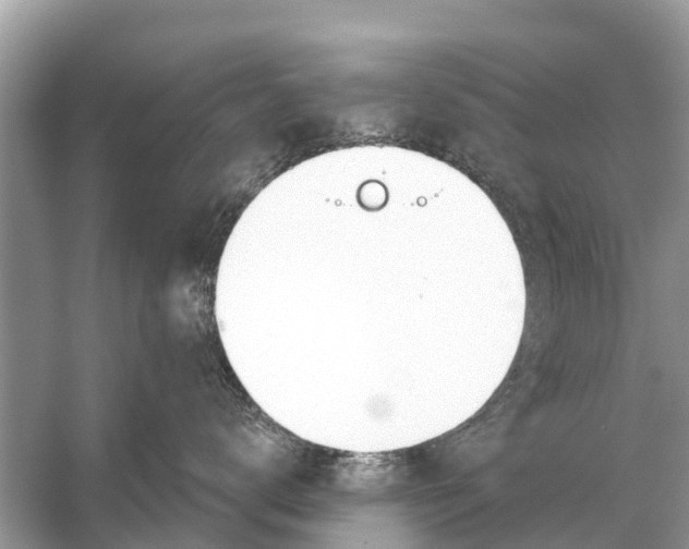 X0000056030672200509170038