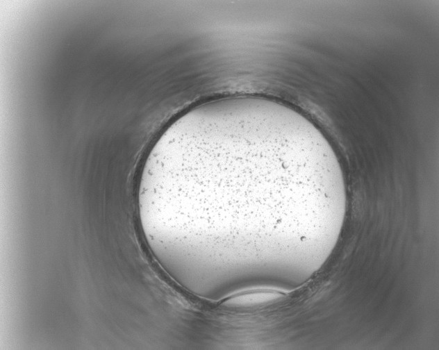 X0000056030673200509170037