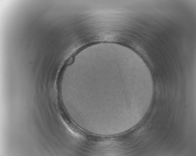 X0000056030674200509170037