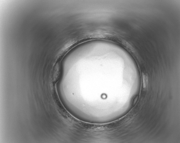 X0000056030675200509170037