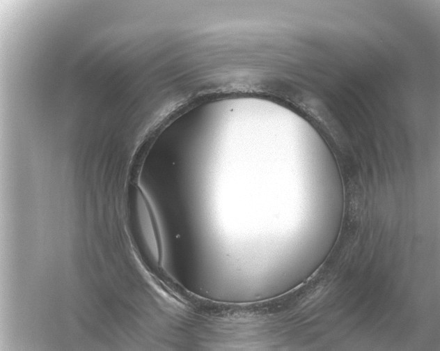 X0000056030677200509170037