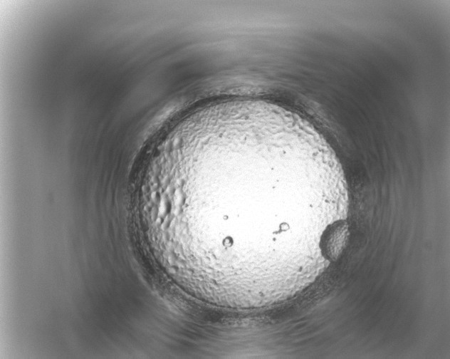 X0000056030679200509170037