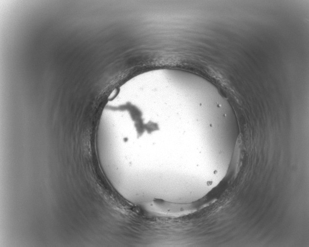 X0000056030681200509170037