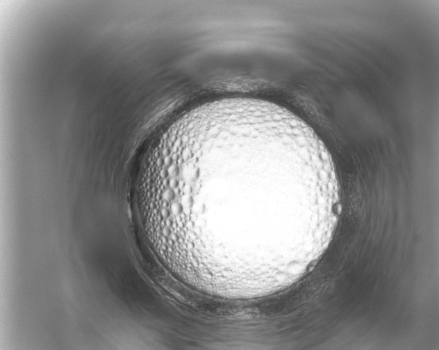 X0000056030683200509170037