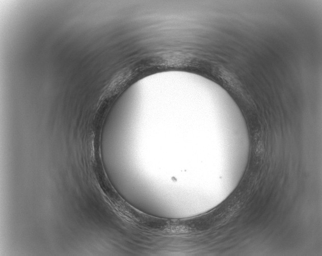 X0000056030685200509170037