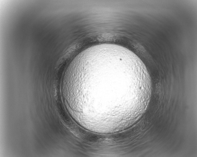 X0000056030687200509170037