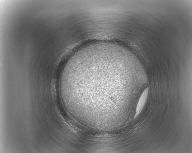 X0000056030688200509170037