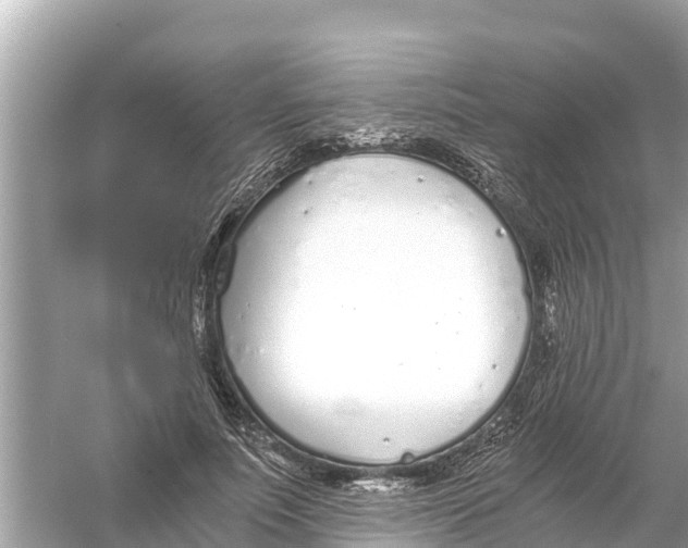 X0000056030691200509170037