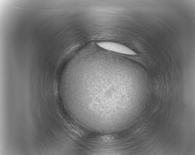 X0000056030692200509170037