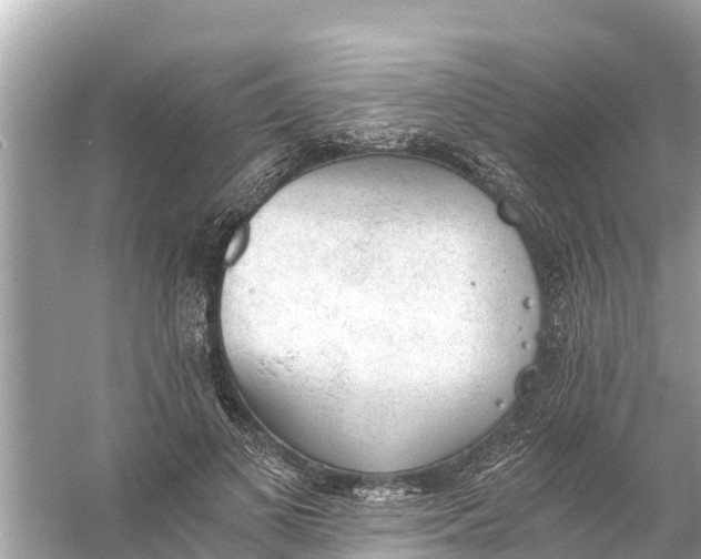 X0000056030693200509170037